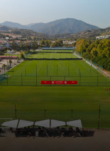 Entrenamiento